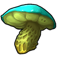 Spongel Mushroom