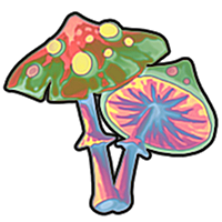 Fairyshroom